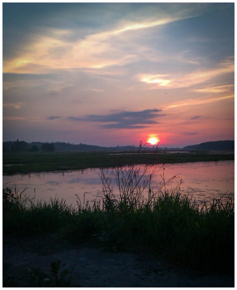 Липа з panoramio.com - Липа