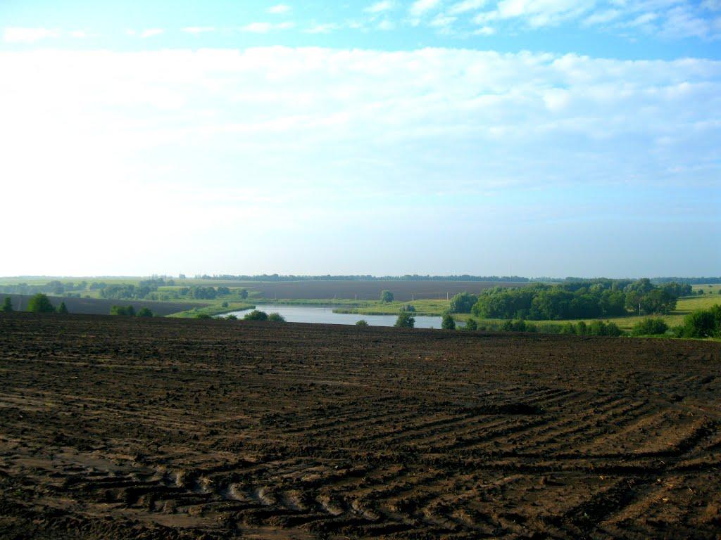 Василе-Устимівка з panoramio.com - Василе-Устимівка