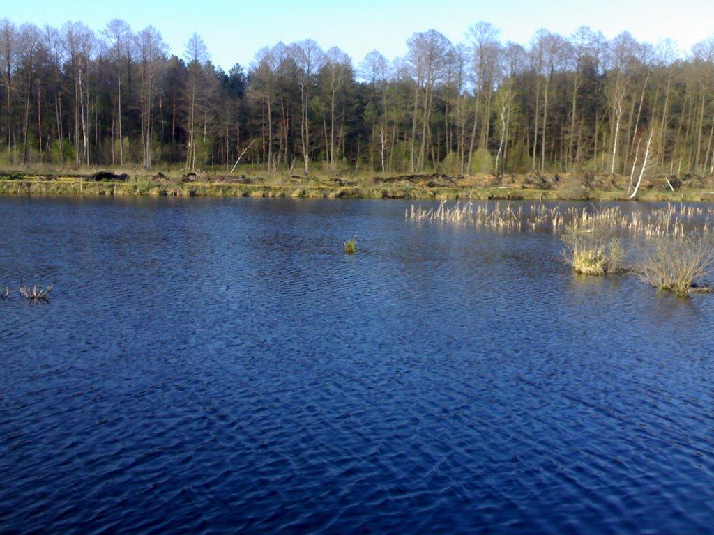 Горошківка з panoramio.com - Горошковка