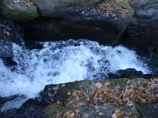 Бедевля з panoramio.com - Бедевля