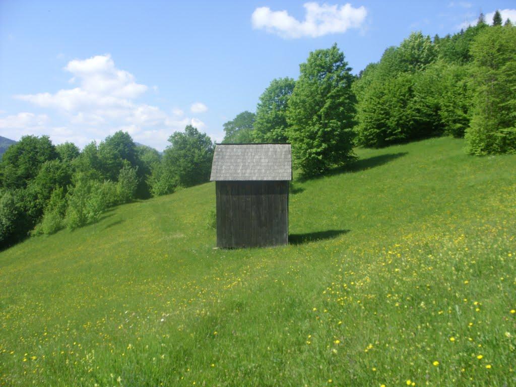 Фальків з panoramio.com (ч.2) - Фальків