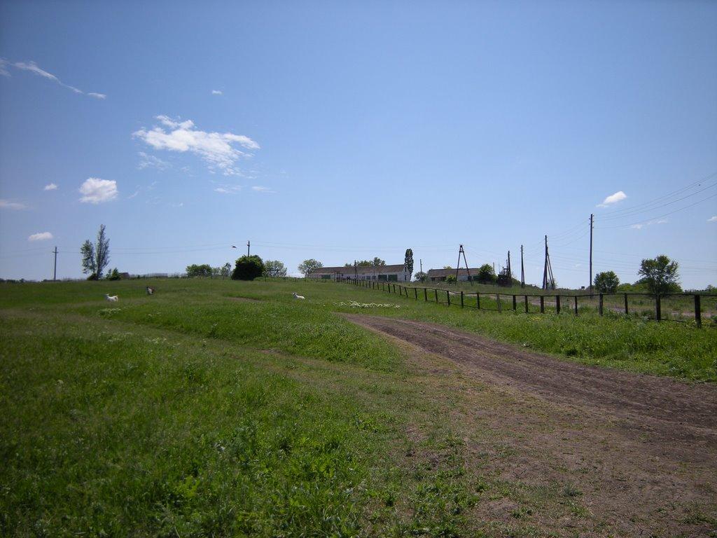 Комишуваха з panoramio.com - Комишуваха