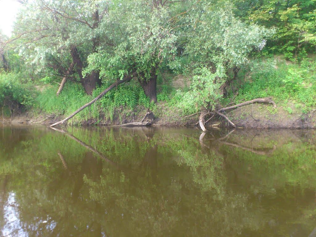 Клочків з panoramio.com - Klochkiv