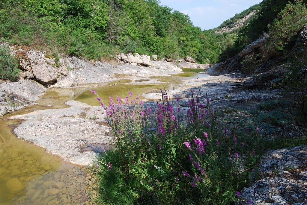 Орлине з panoramio.com - Орлине