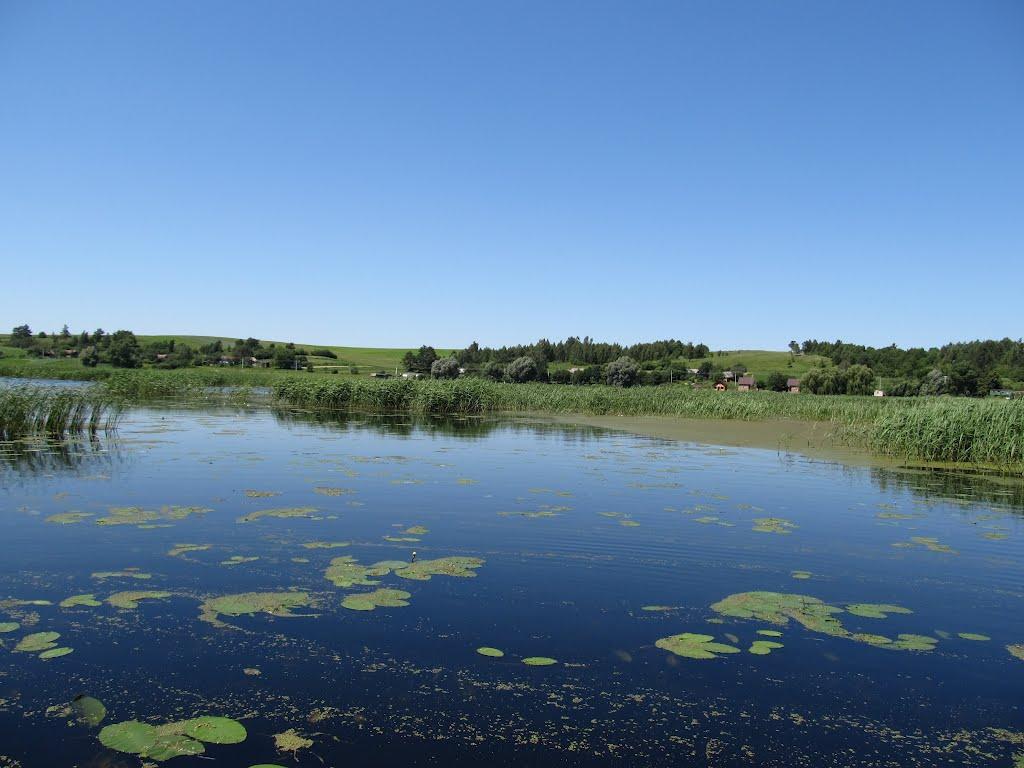 Липа з panoramio.com - Липа