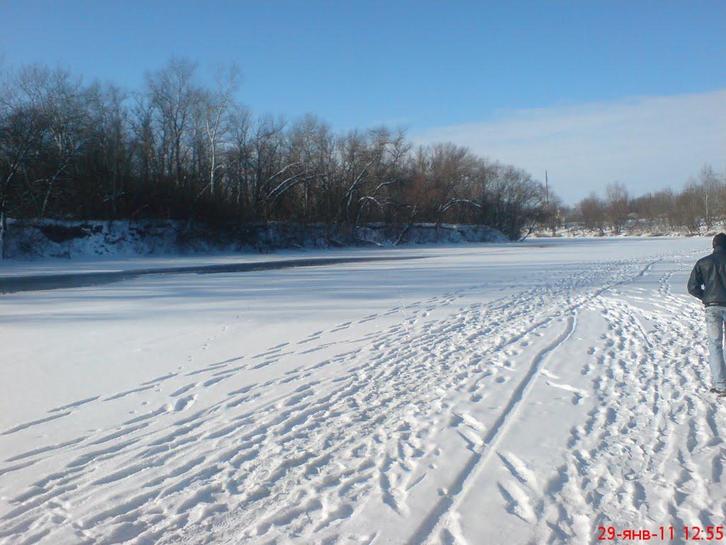 Омельник з panoramio.com - Омельник