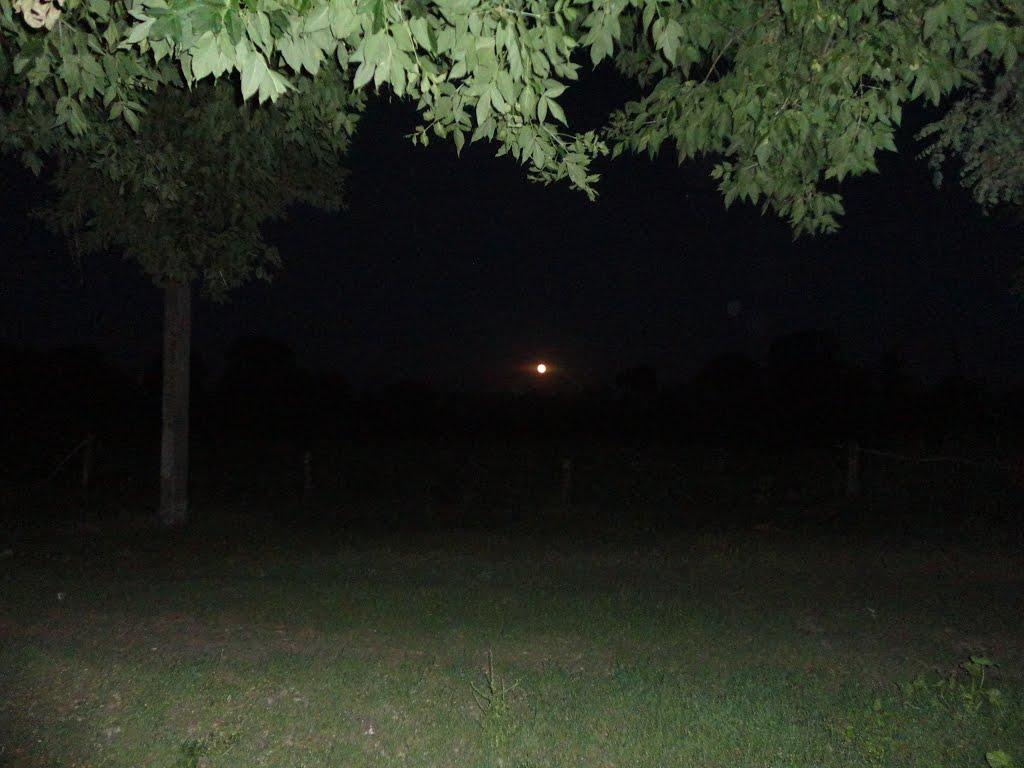 Меленці з panoramio.com - Меленці