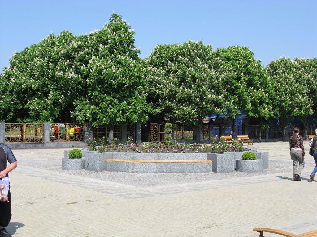 Прилуки з panoramio.com - Прилуки