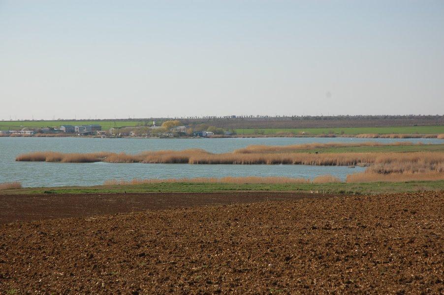 Фрунзе з panoramio.com - Фрунзе