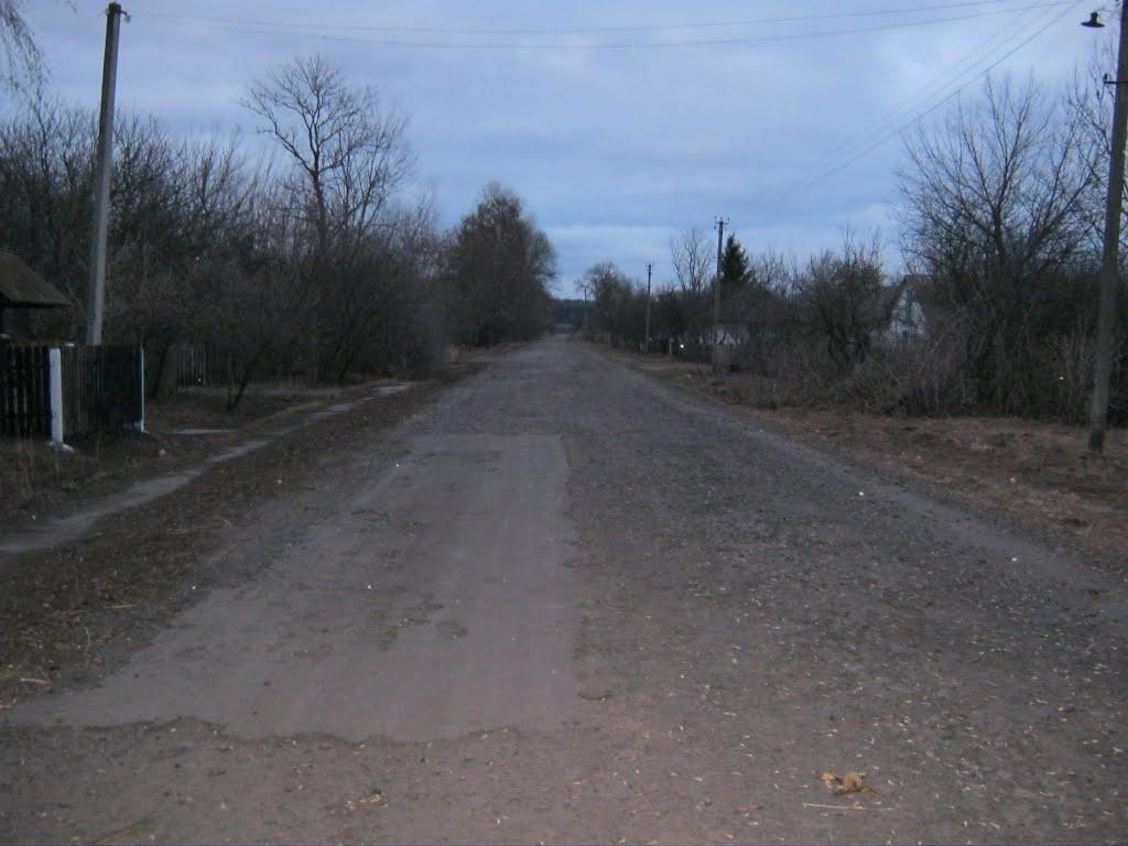 Червона Володимирівка з panoramio.com - Червона Володимирівка