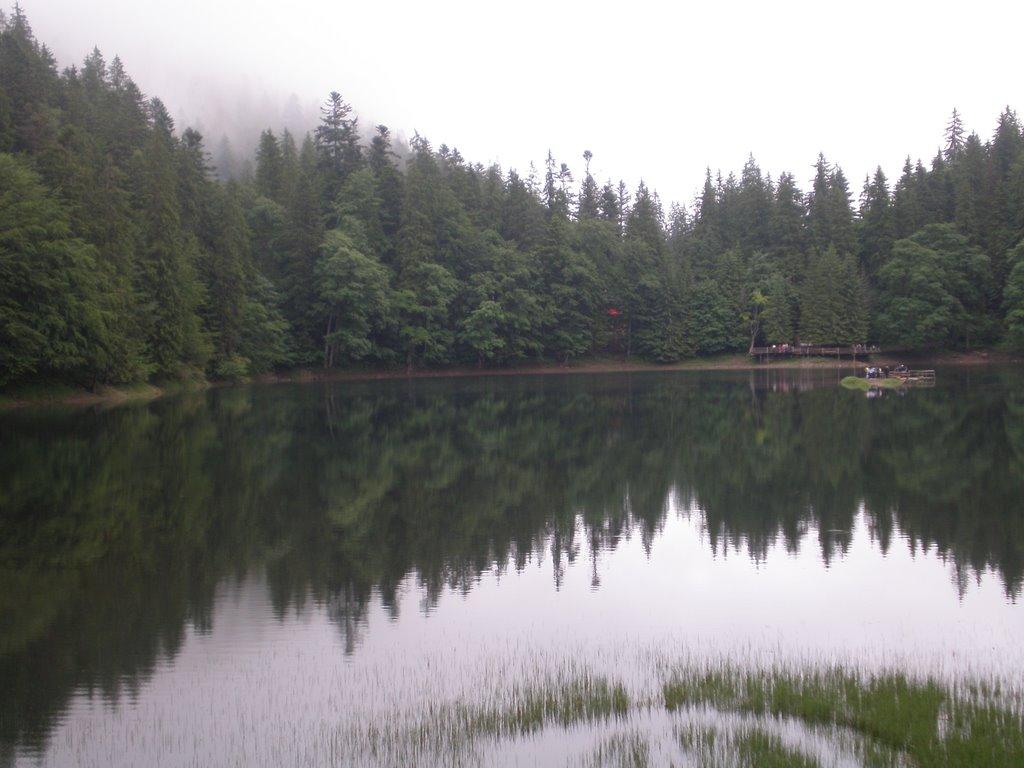 Синевир з panoramio.com - Синевир