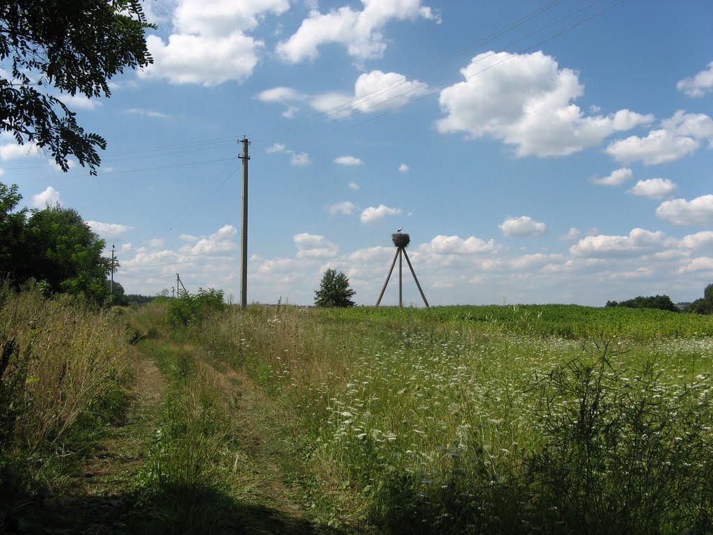 Вільховий Ріг з panoramio.com - Вільховий Ріг