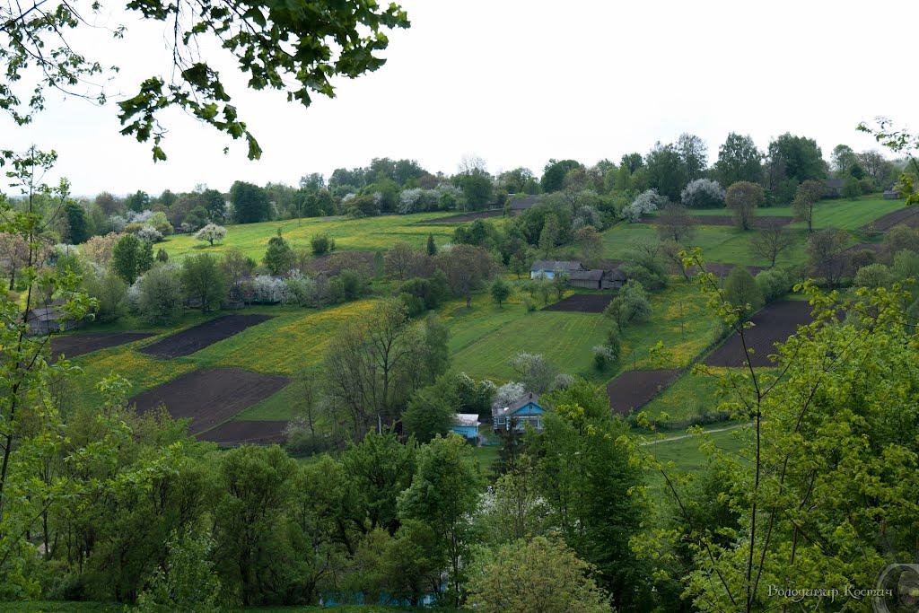 Башківці з panoramio.com - Bashkivtsi