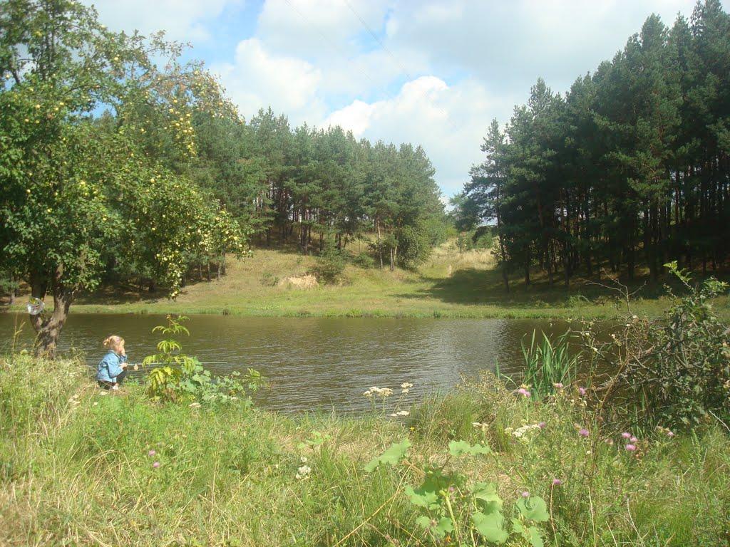 Стеблів з panoramio.com - Стеблів