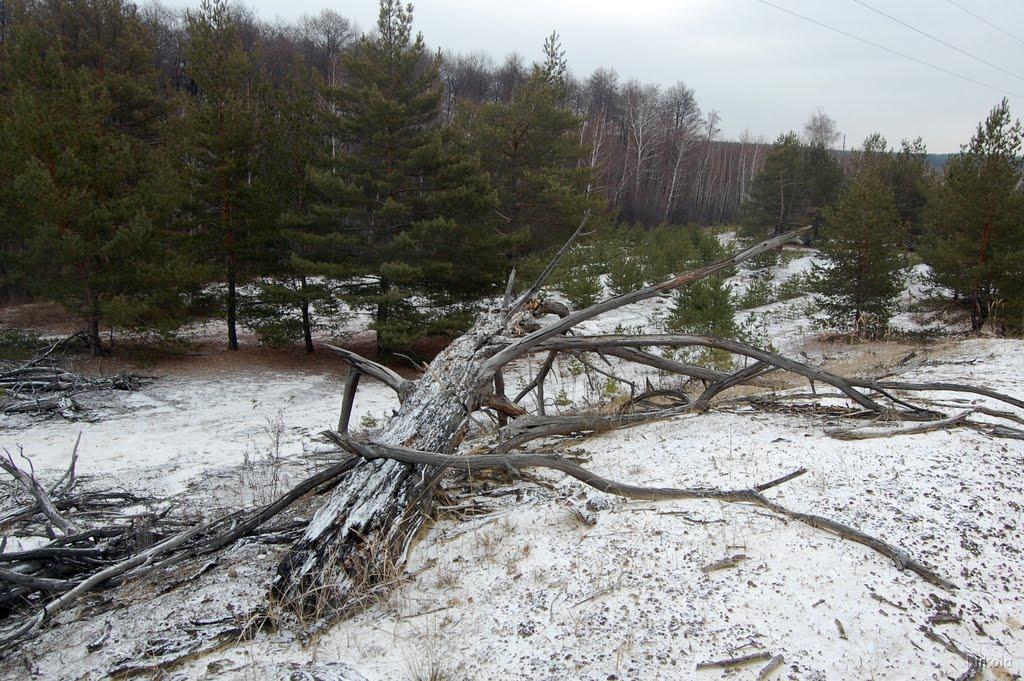 Боровеньки з panoramio.com - Боровеньки