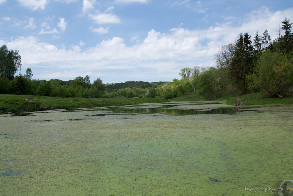 Башківці з panoramio.com - Башківці