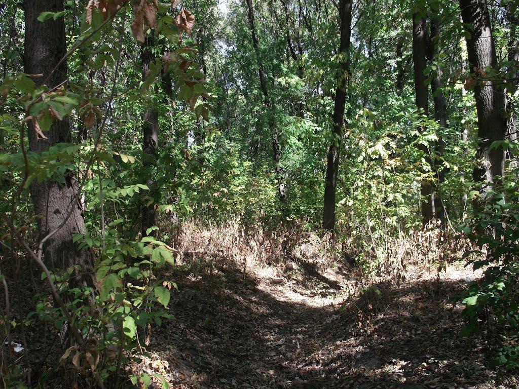 Троїцьке з panoramio.com - Troitske