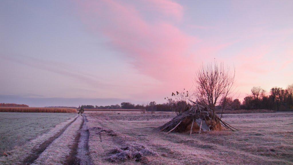 Лозувата з panoramio.com