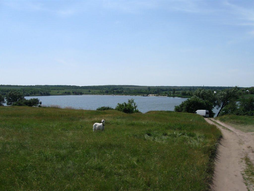 Калмиківка з panoramio.com - Калмиківка