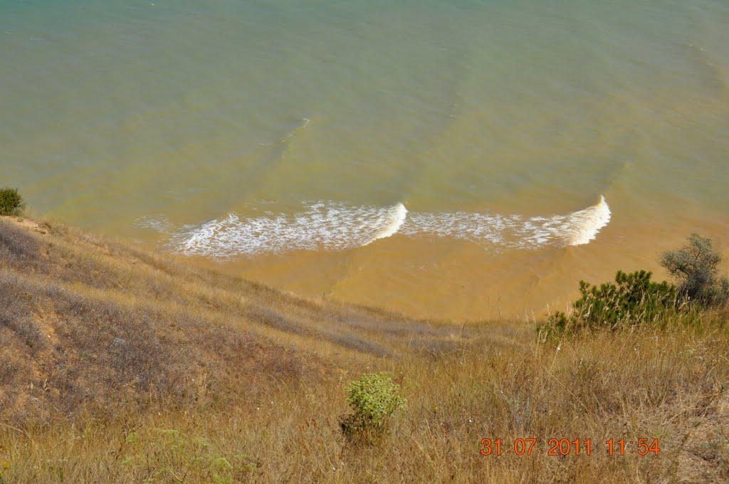 Піщане з panoramio.com - Песчаное