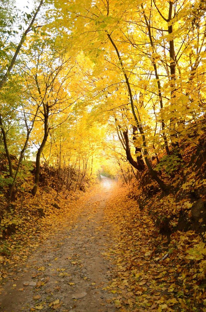 Гвоздів з panoramio.com - Гвоздів