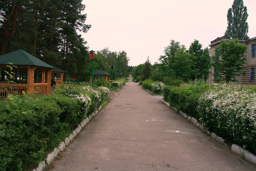 Могилів з panoramio.com - Могилев