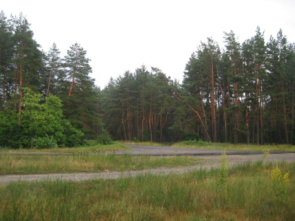 Гути з panoramio.com - Гути