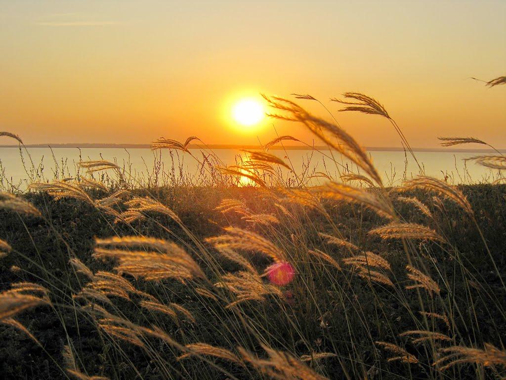 Нова Некрасівка з panoramio.com - Нова Некрасівка