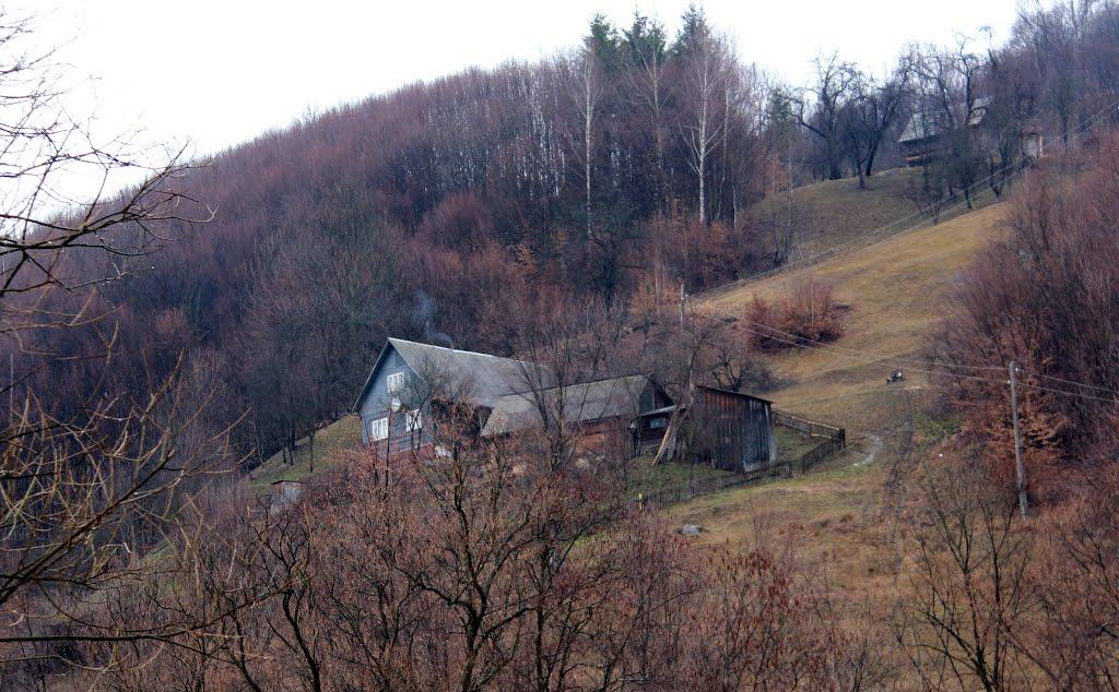 Богдан з panoramio.com - Богдан