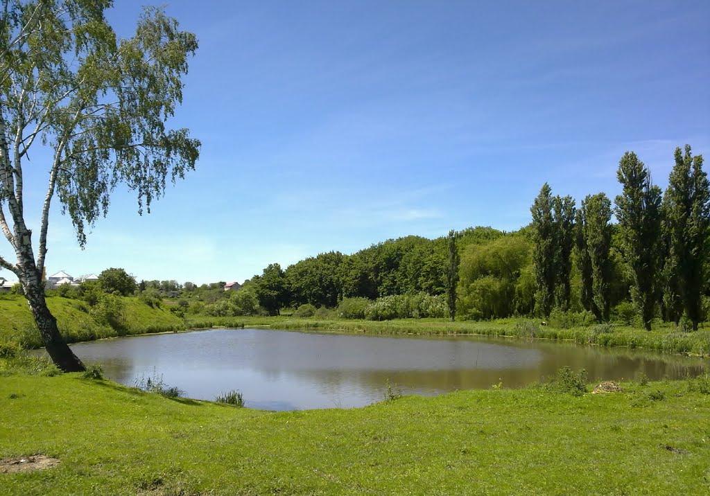 Підволочиськ з panoramio.com - Подволочиск