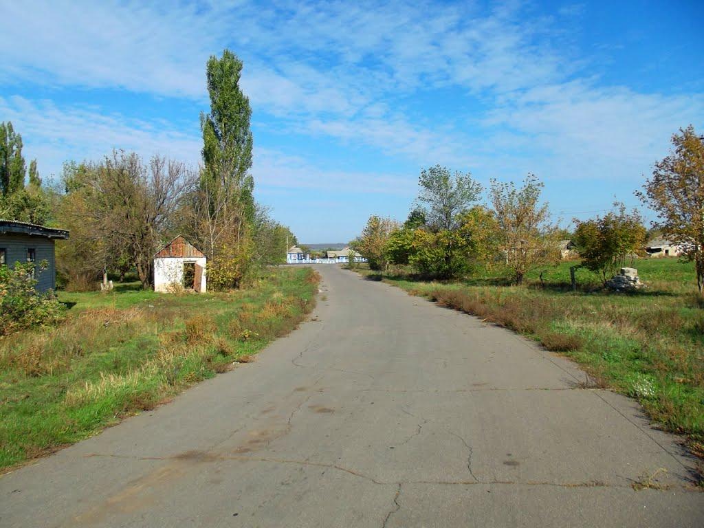 Коштове з panoramio.com - Коштове