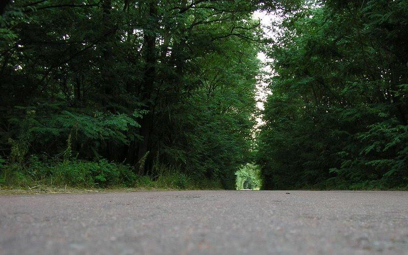 Якубівка з panoramio.com - Якубівка