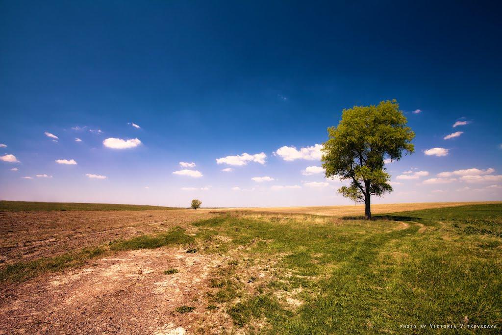 Батальне з panoramio.com - Batalne