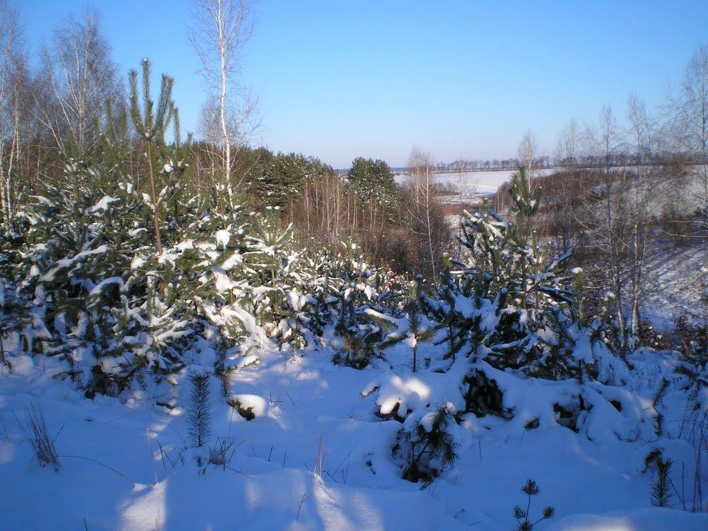 Махаринці з panoramio.com - Makharyntsi