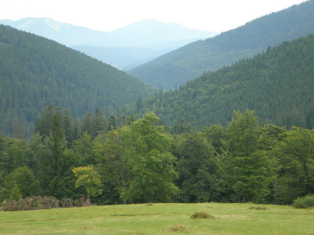 Синевир з panoramio.com - Синевир