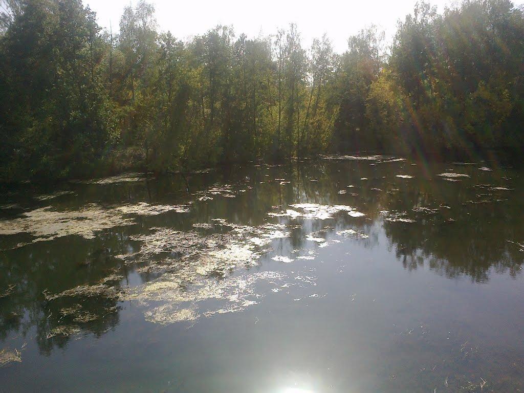 В'язенка з panoramio.com - Вязенка