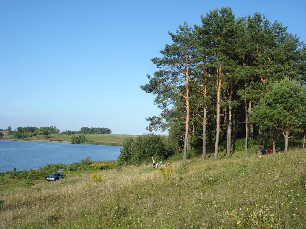 Лебеді з panoramio.com - Лебеді