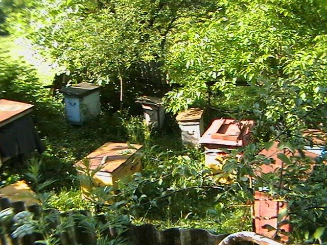 Шмирки з panoramio.com - Шмирки