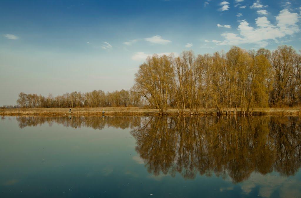 Новосілки з panoramio.com - Новоселки