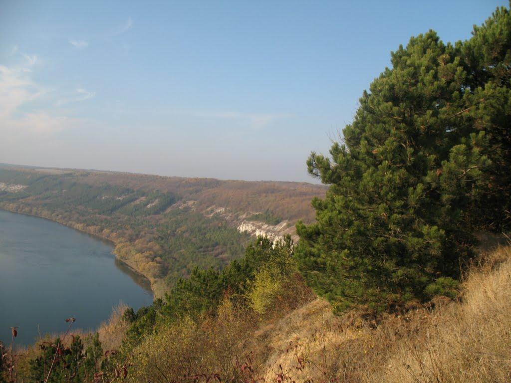 Петрашівка з panoramio.com - Петрашівка