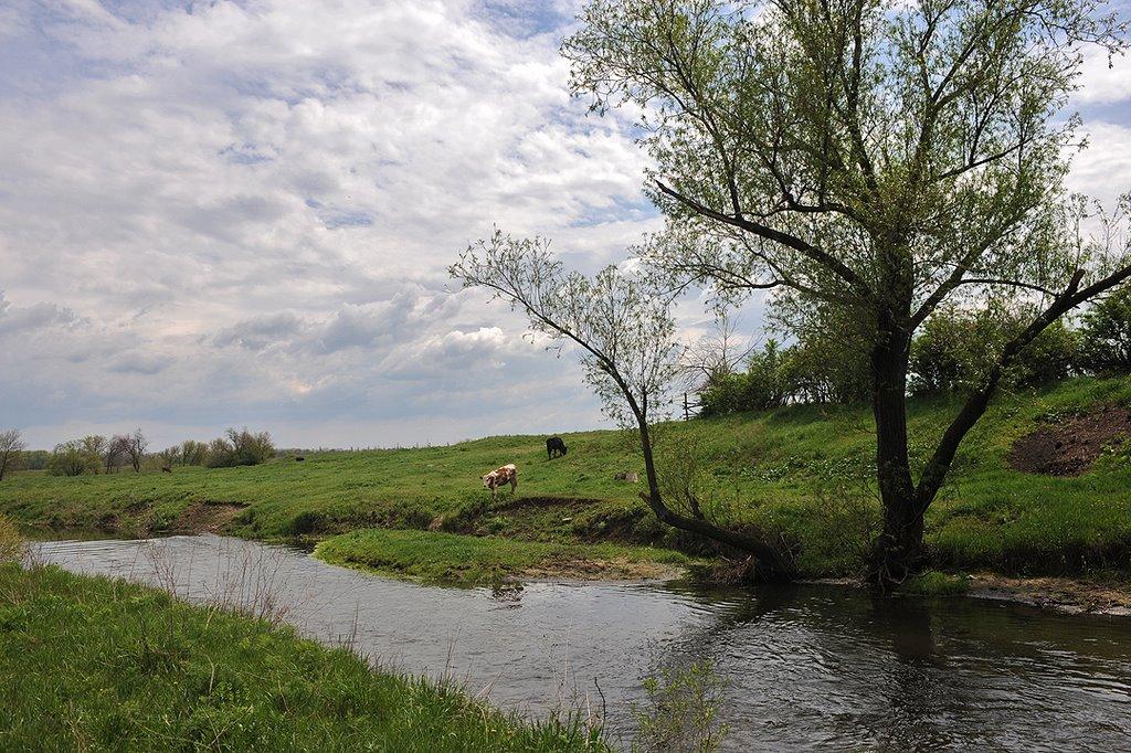 Переїзне з panoramio.com - Переїзне
