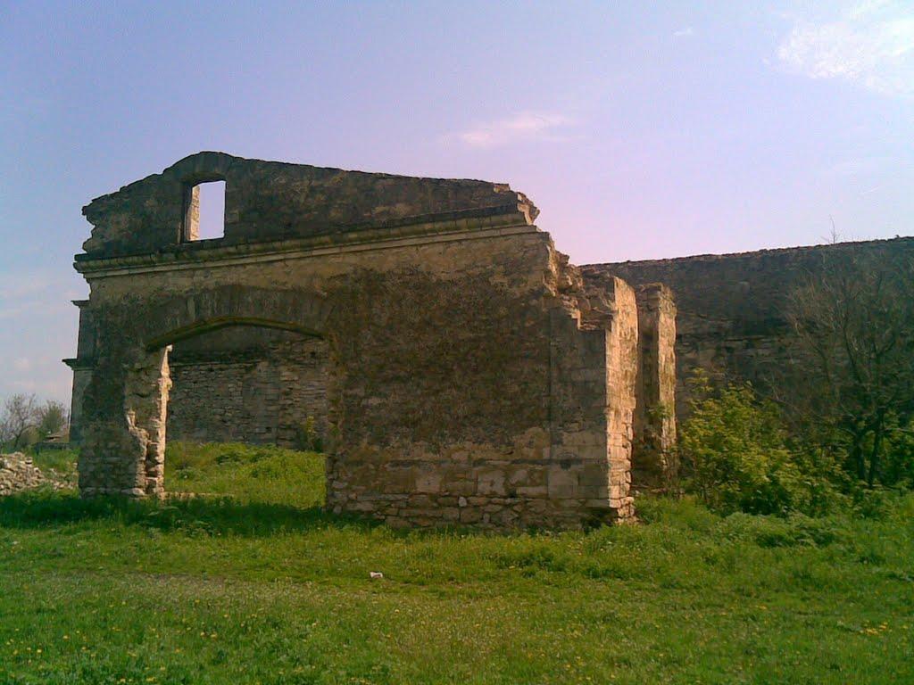 Федосіївка з panoramio.com - Федосіївка