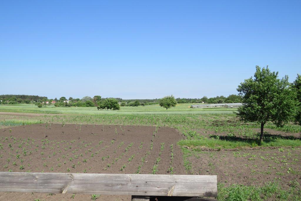 Софіївка з panoramio.com - Софиевка
