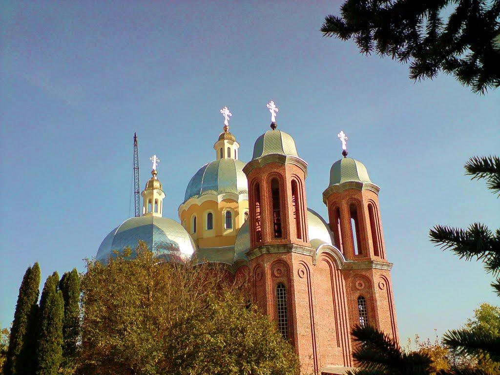 Бережани з panoramio.com - Бережаны