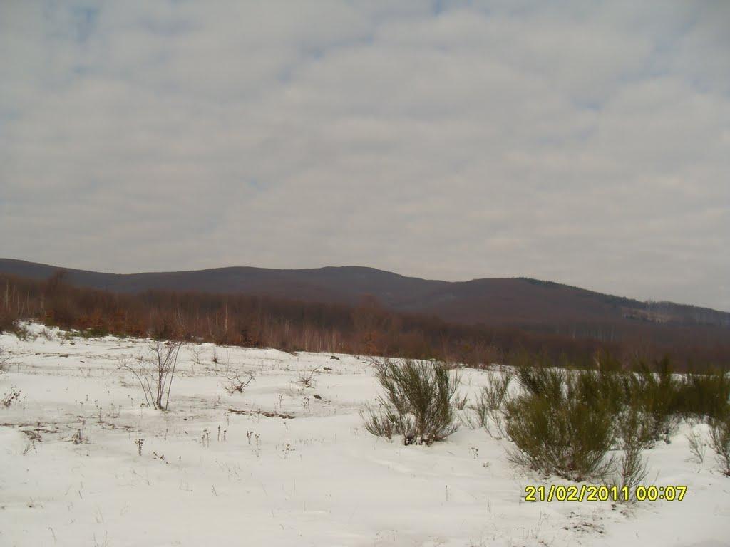 Івашковиця з panoramio.com - Івашковиця