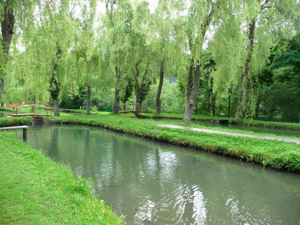 Розовий з panoramio.com (ч.2) - Розовий