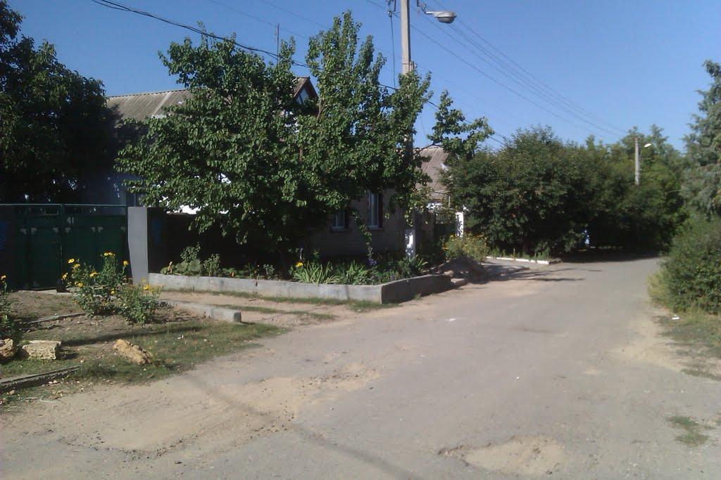 Нова Одеса з panoramio.com - Нова Одеса