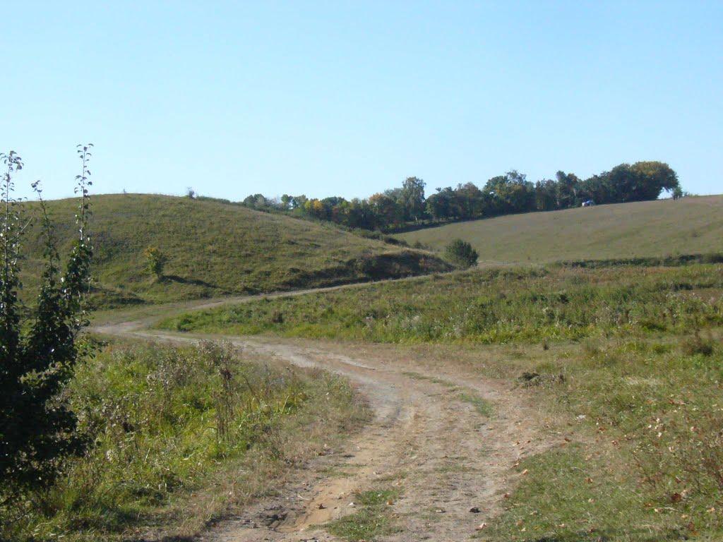 Кордонівка з panoramio.com - Кордонівка