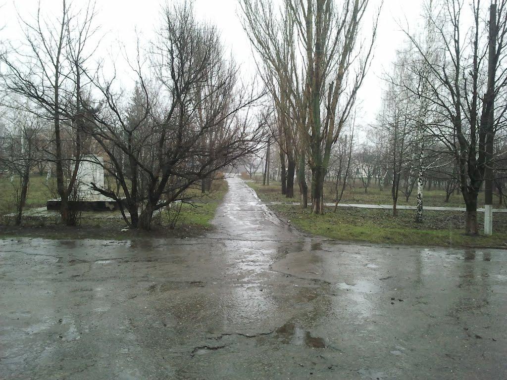 Просторе з panoramio.com - Просторное