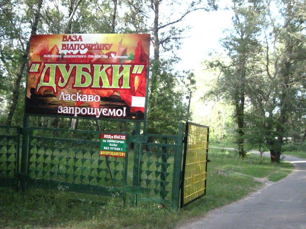 Кияшки з panoramio.com - Кияшки